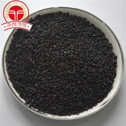 精選芝麻加工磨粉代餐粉，全方位供應信息與專業加工服務指南